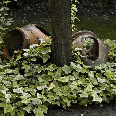 Pazo De Monterrei Ourense