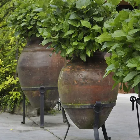 Pazo De Monterrei Ourense