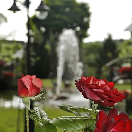 Hotel Pazo De Monterrei
