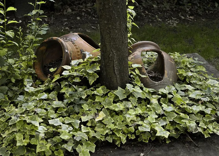 Pazo De Monterrei Ourense