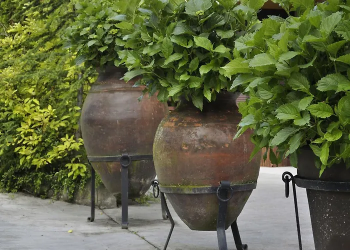 Pazo De Monterrei Ourense